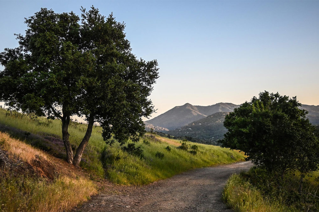 Path in Marin hills